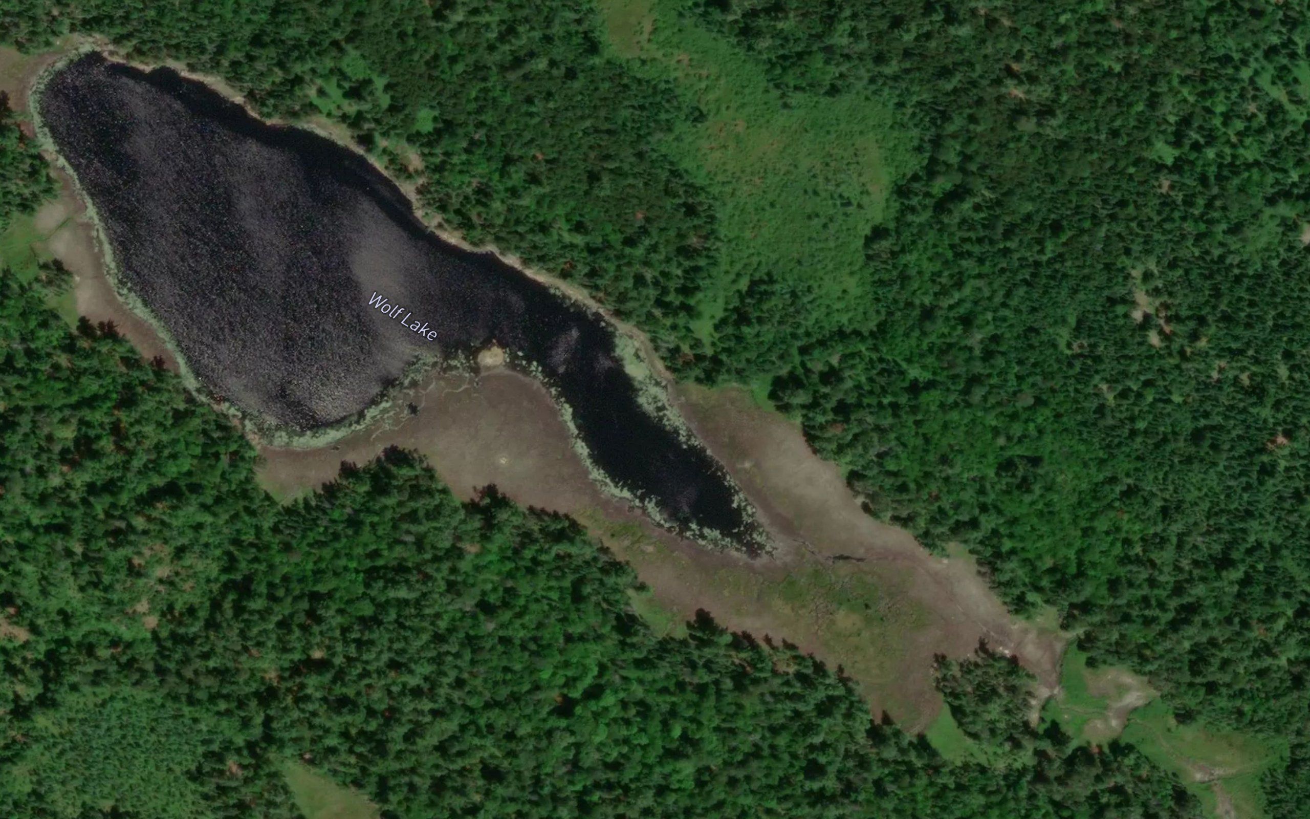 Wolf Lake