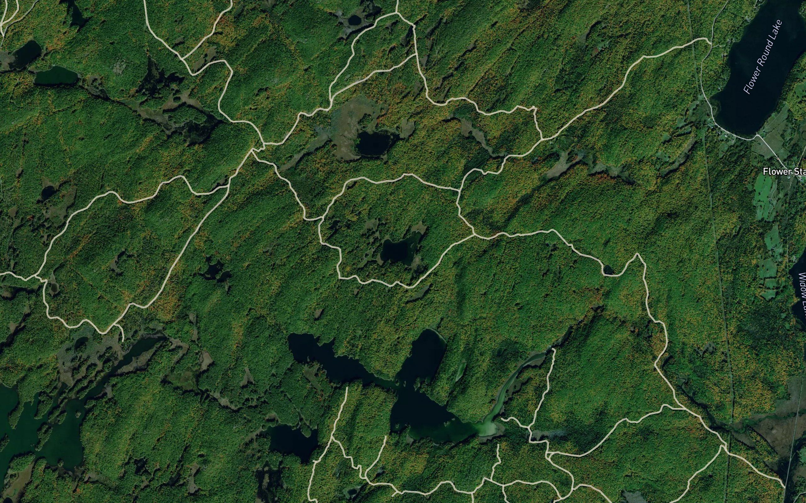 Dobbie Lake