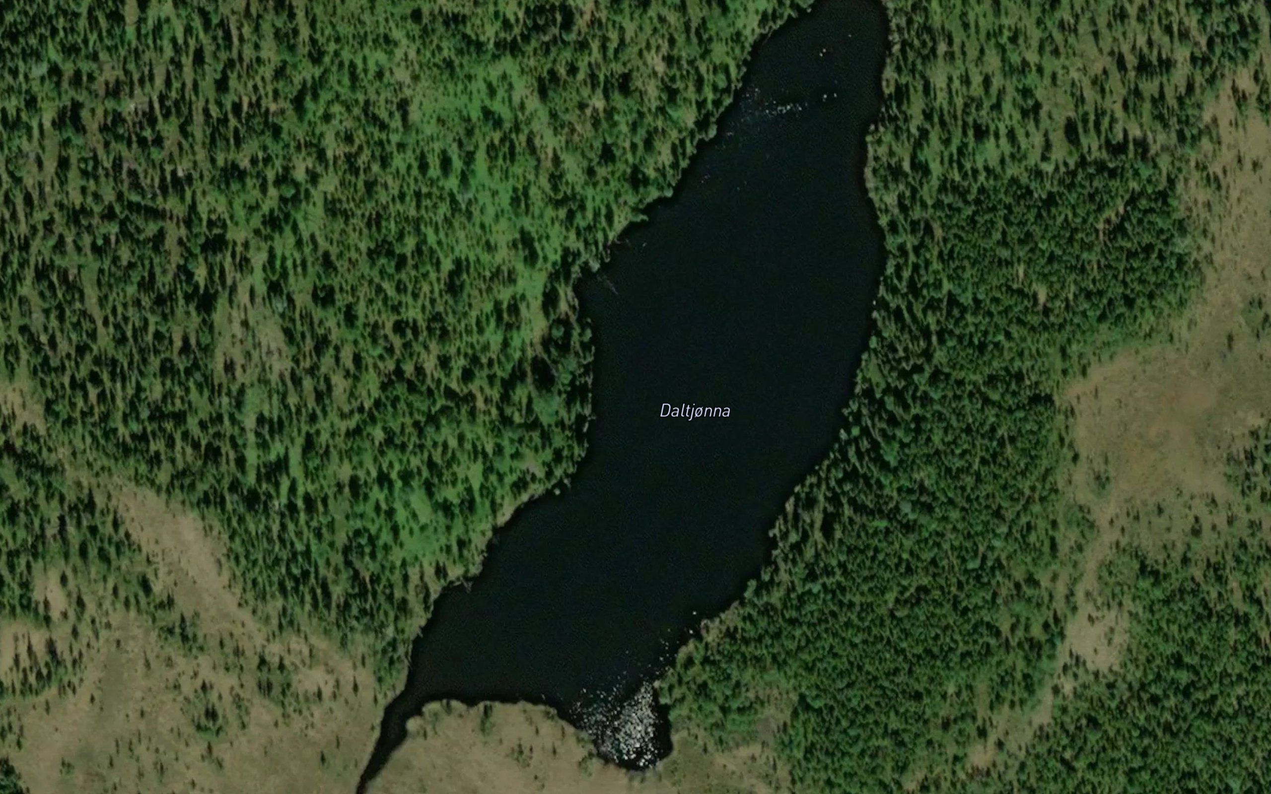 Daltjorna