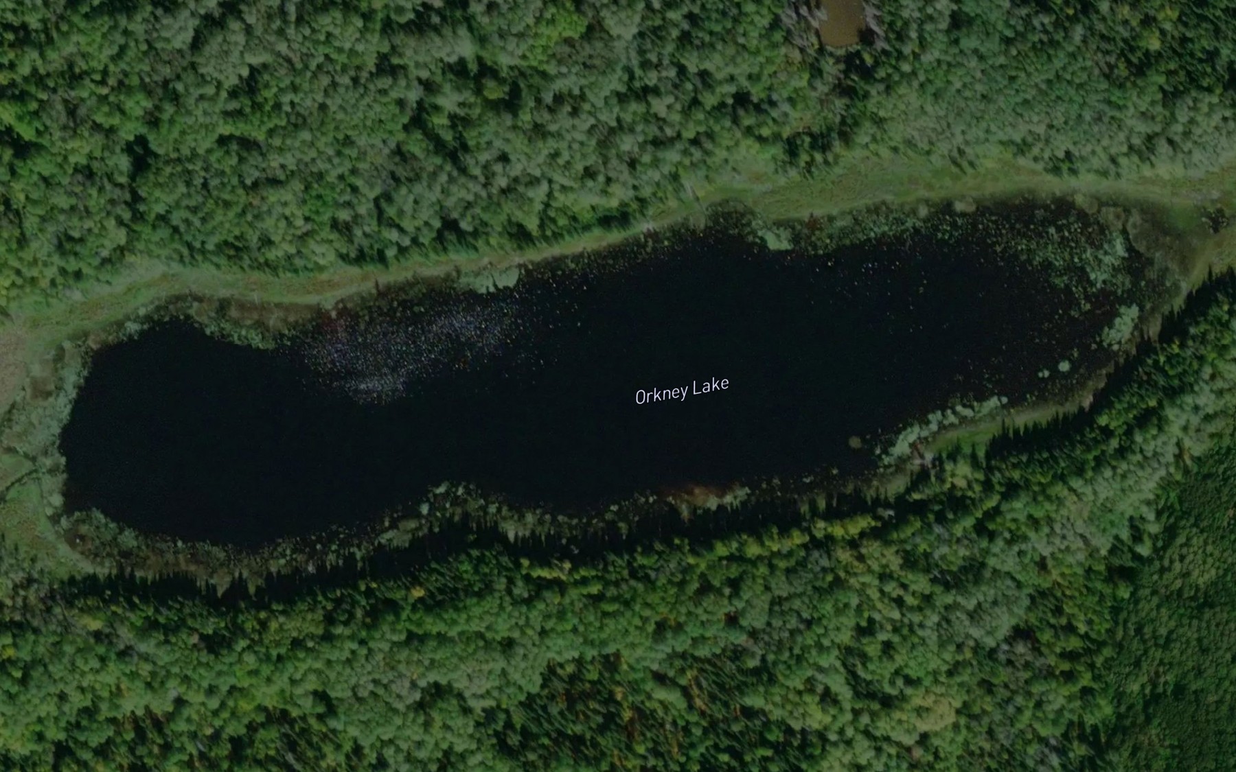 Satellite map of the Orkney Lake