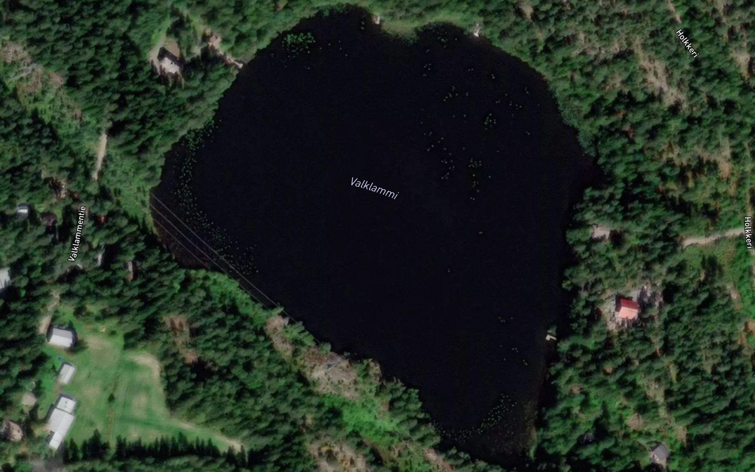 Valklammi