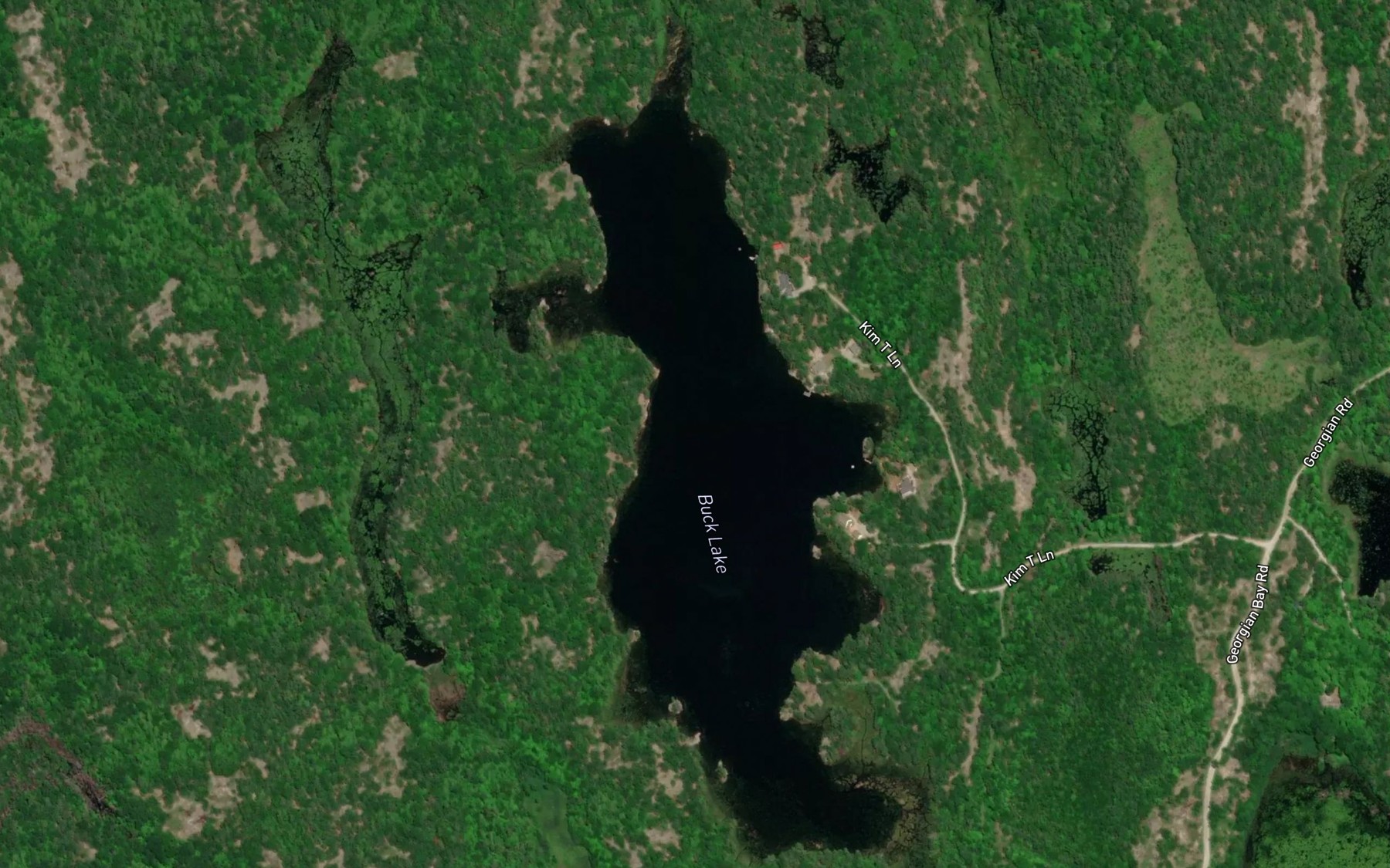 Satellite map of the Buck Lake