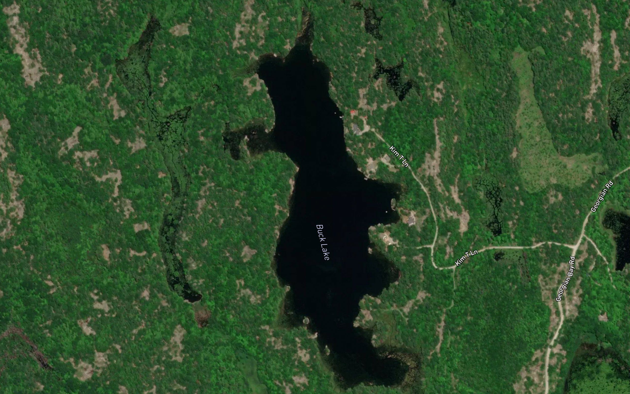 Buck Lake