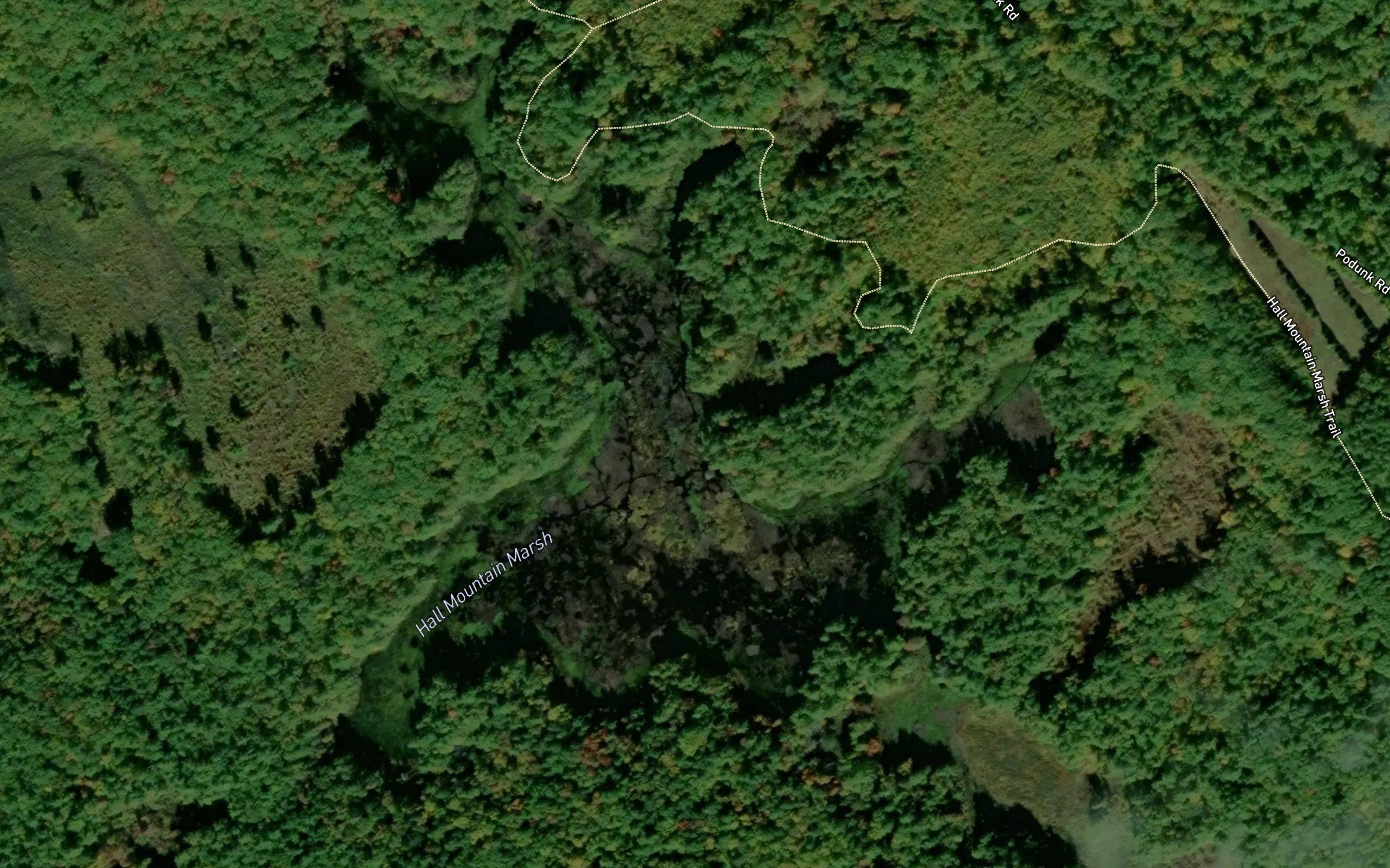 Hall Mountain Marsh