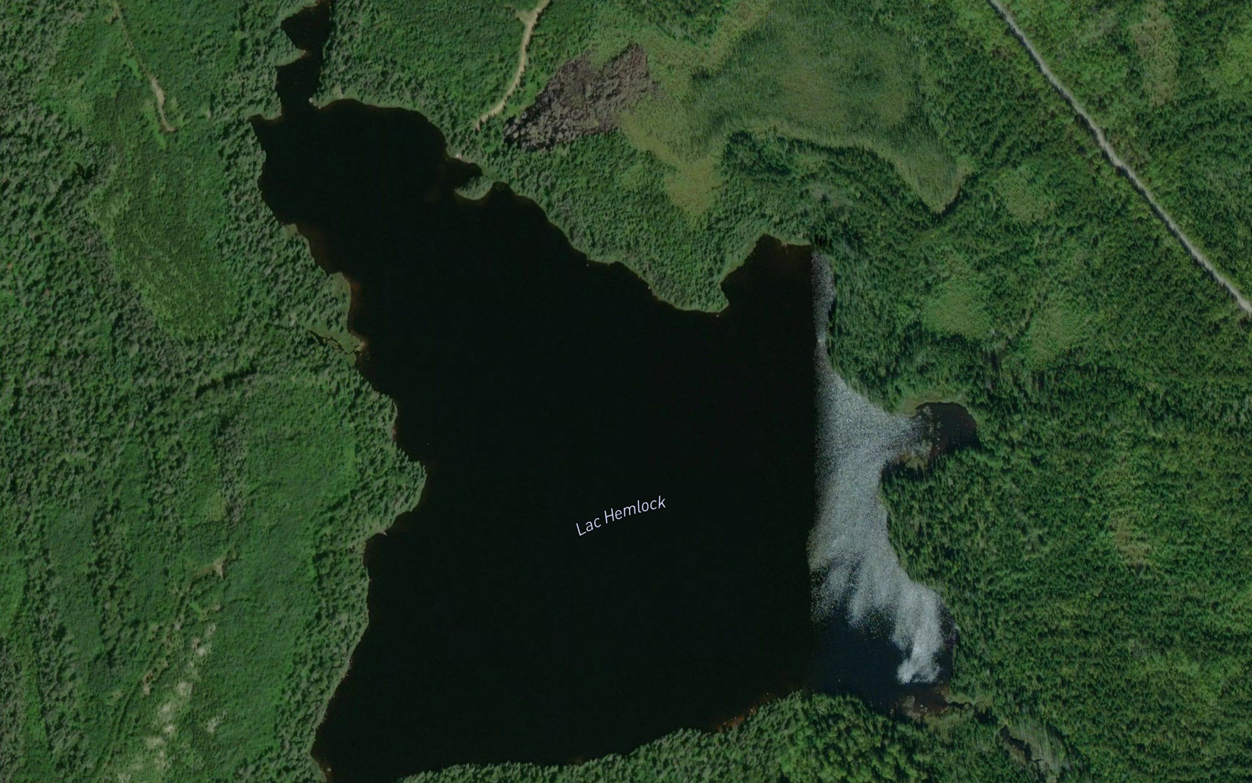 Lac Hemlock