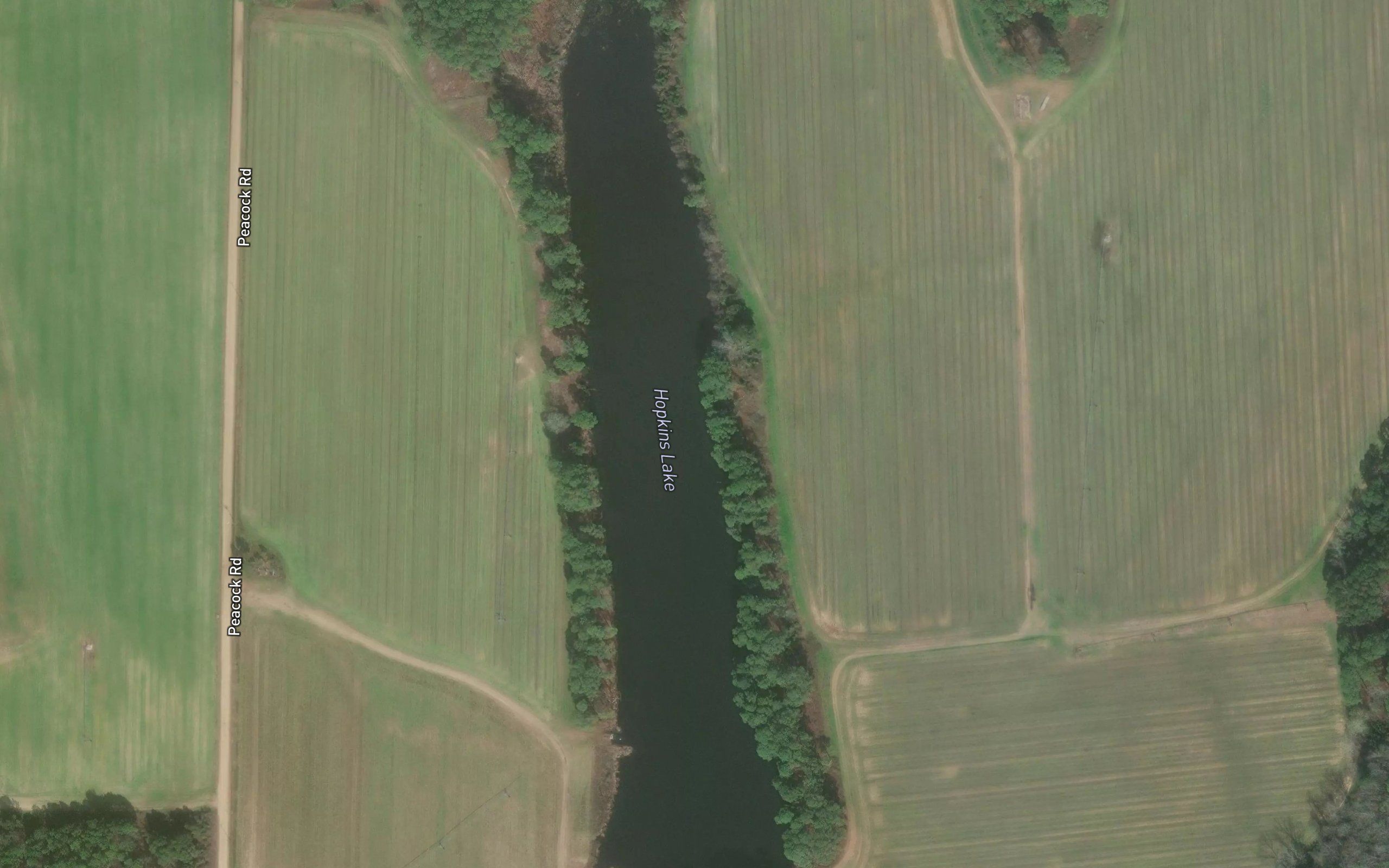 Hopkins Lake