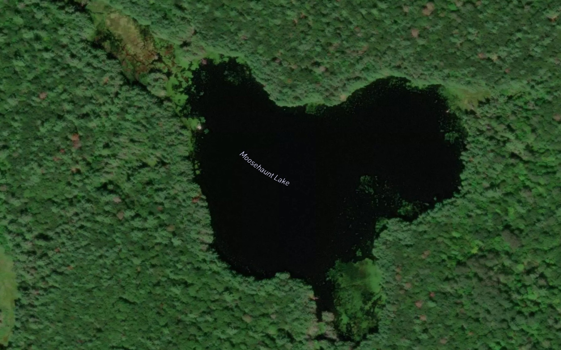 Satellite map of the Moosehaunt Lake