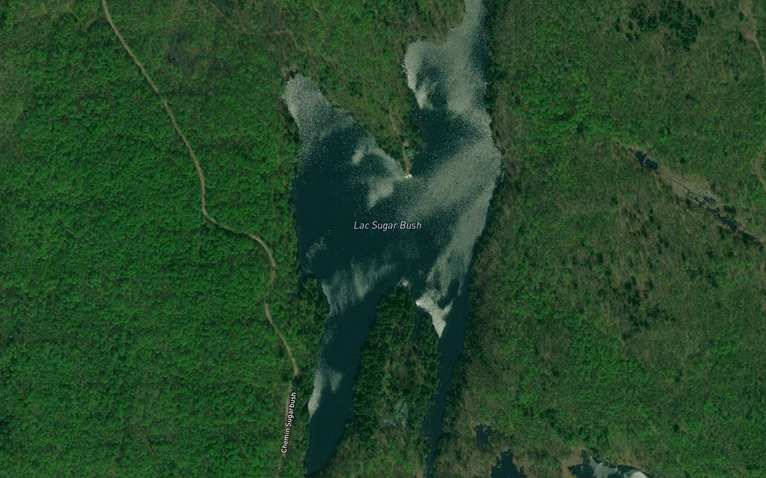 Lac Sugar Bush