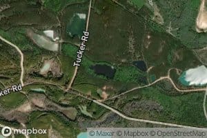 Gorbutt Pond