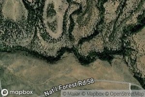 Bronco Creek