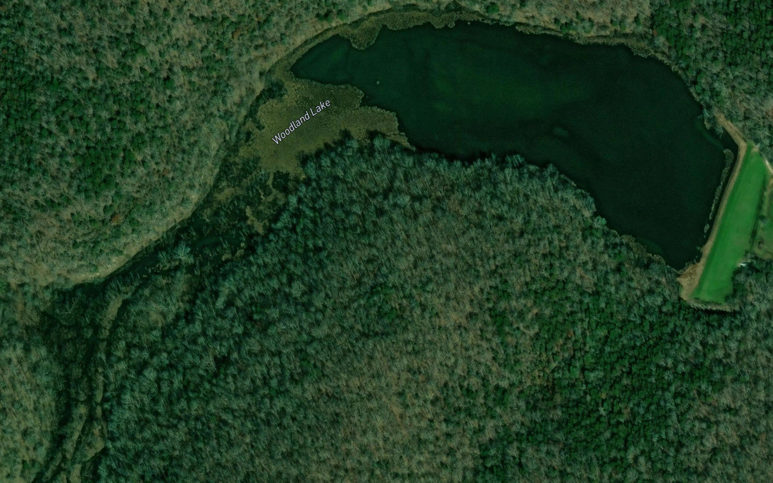 Woodland Lake