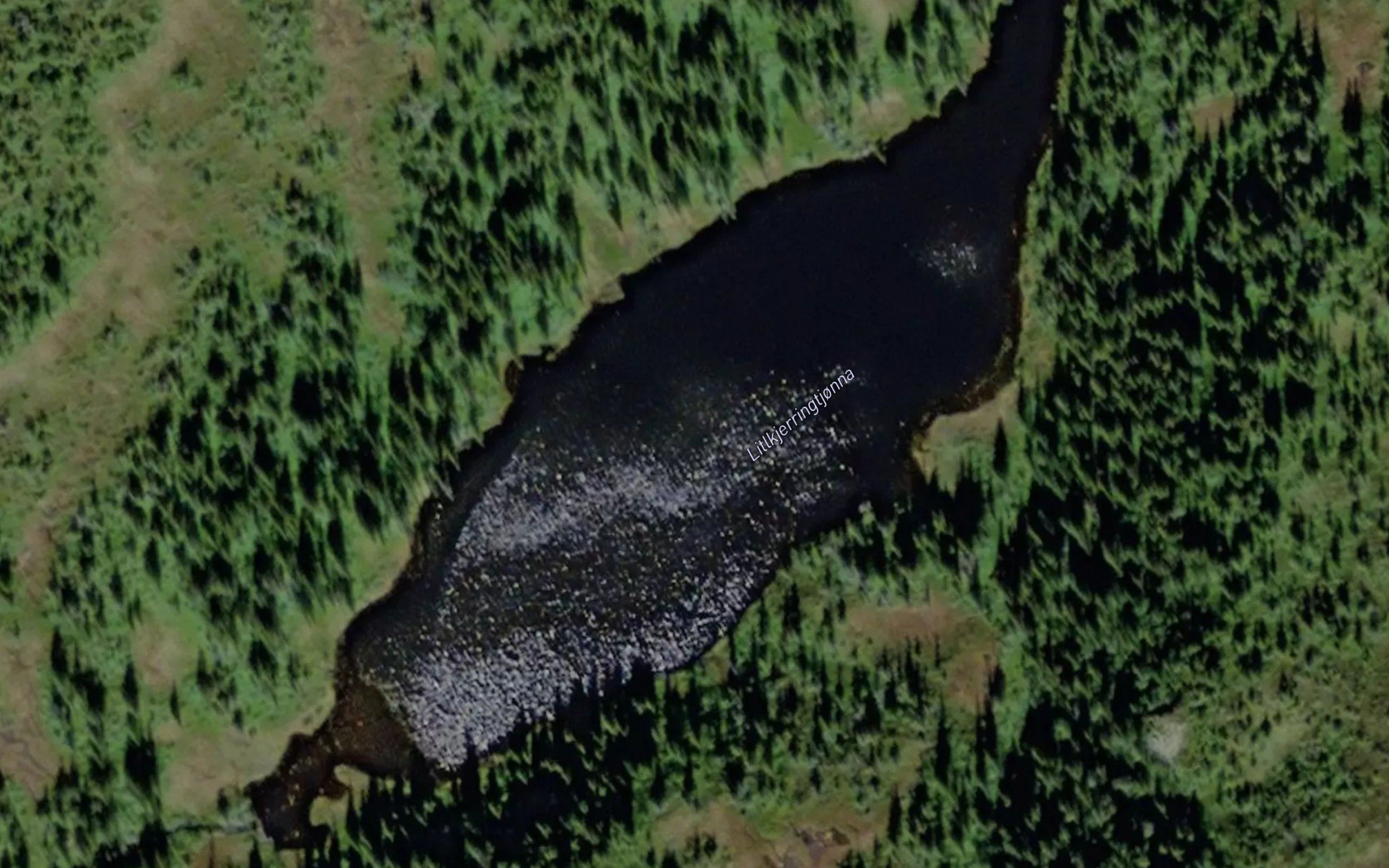 Kjerringtjorna,l