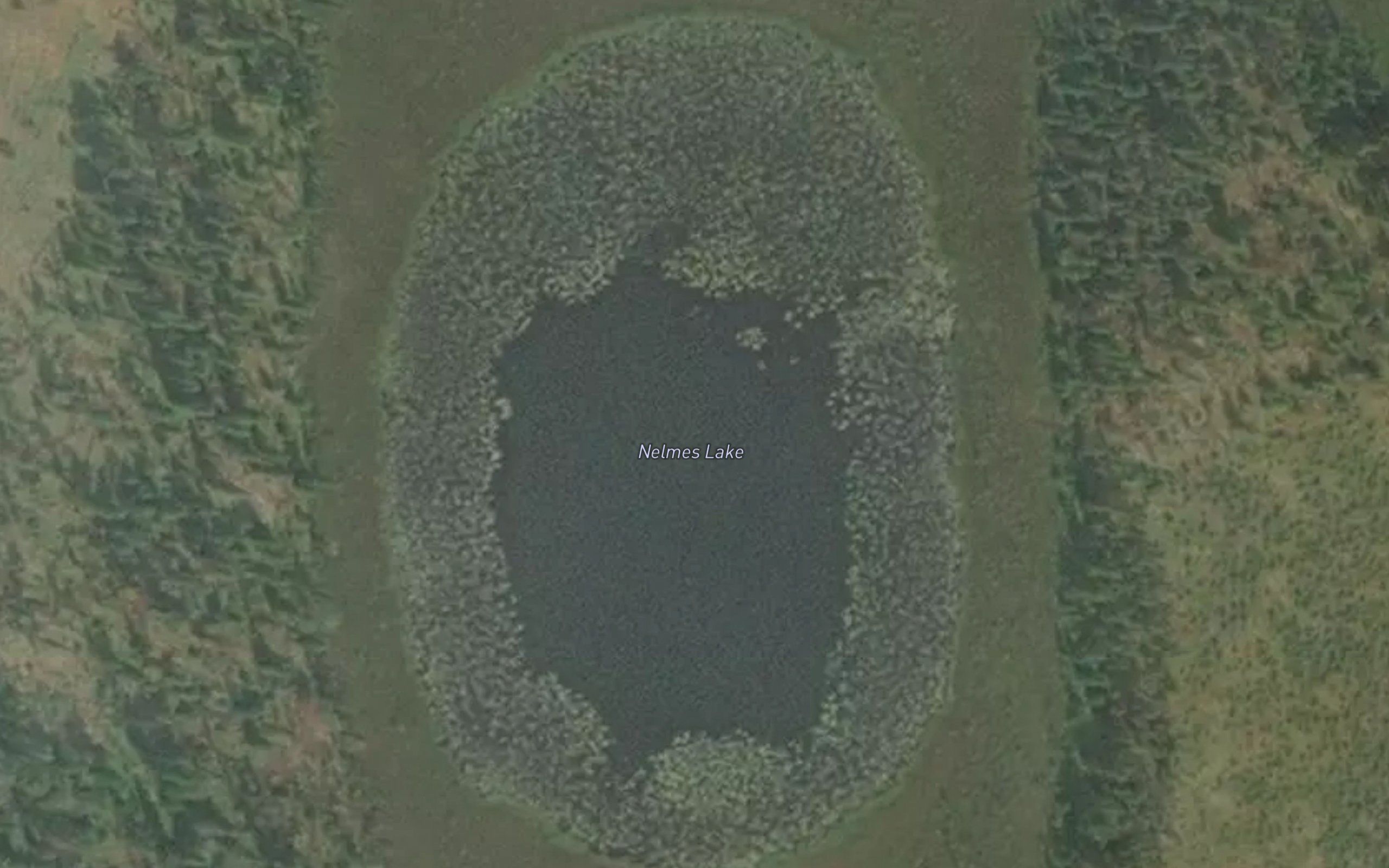 Nelmes Lake