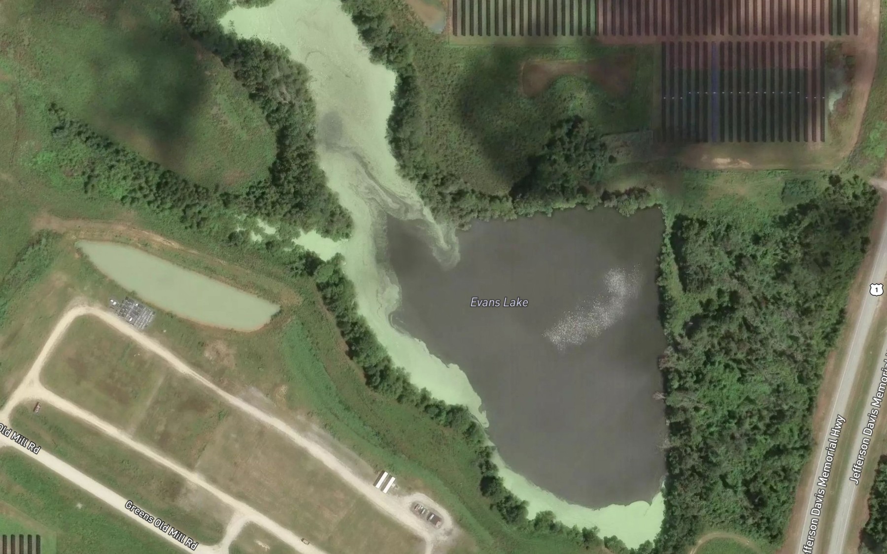 Satellite map of the Evans Lake