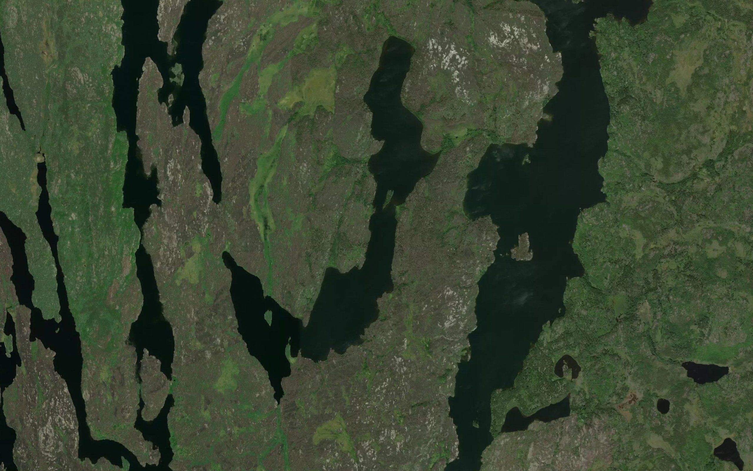 Shynkarchuk Lake