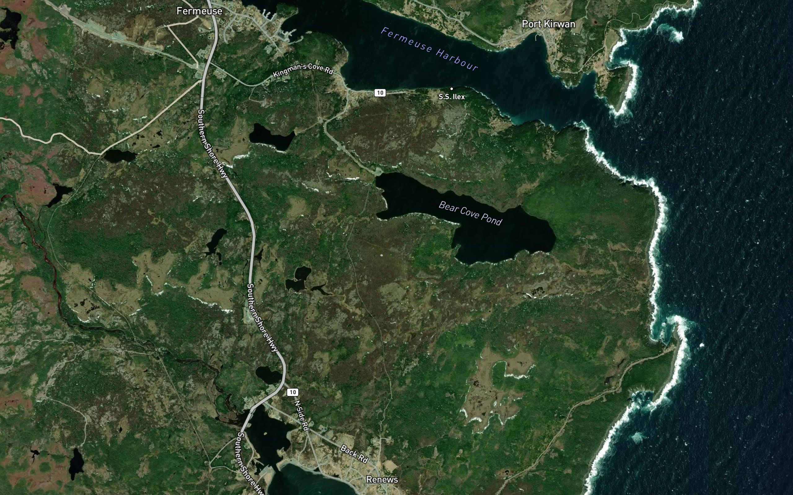 Bear Cove Pond