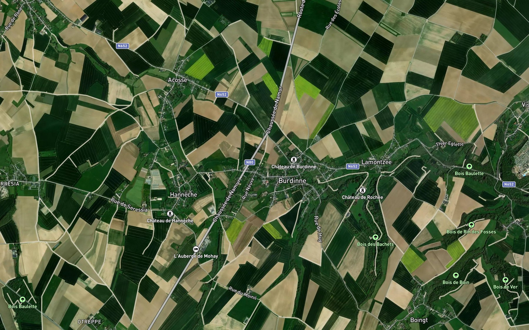 Satellite map of the Grand Vivier