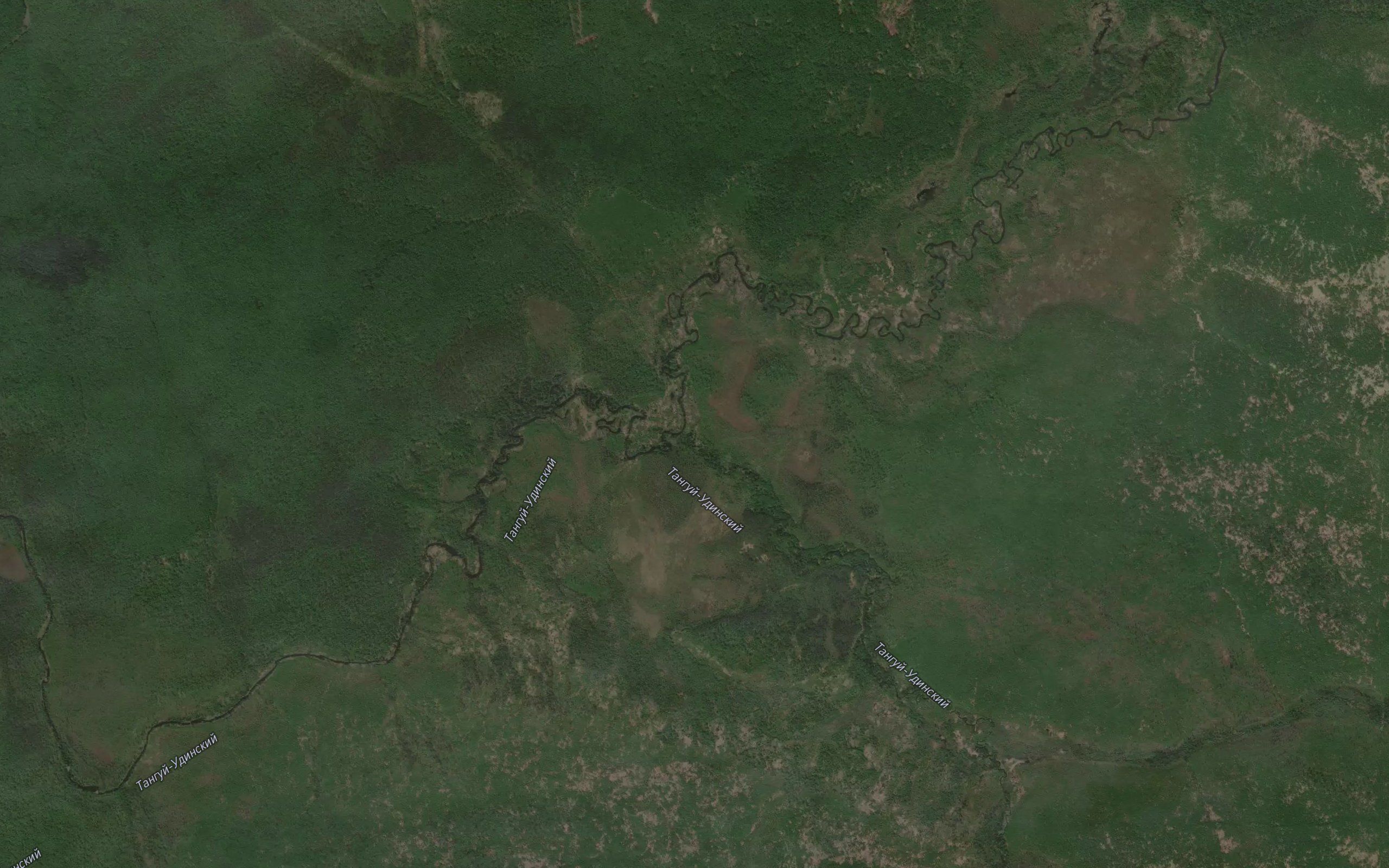 Bolotnaya