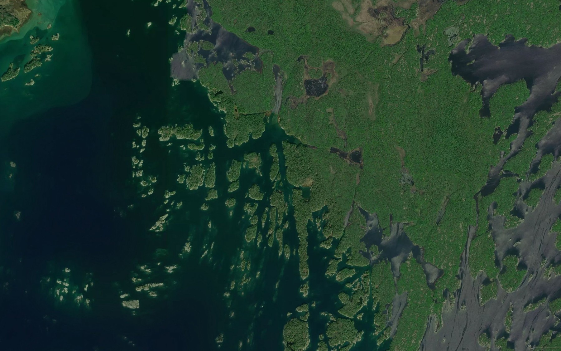 Satellite map of the Dauncey Bay