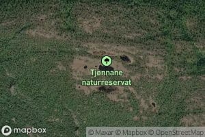 Tjonnane