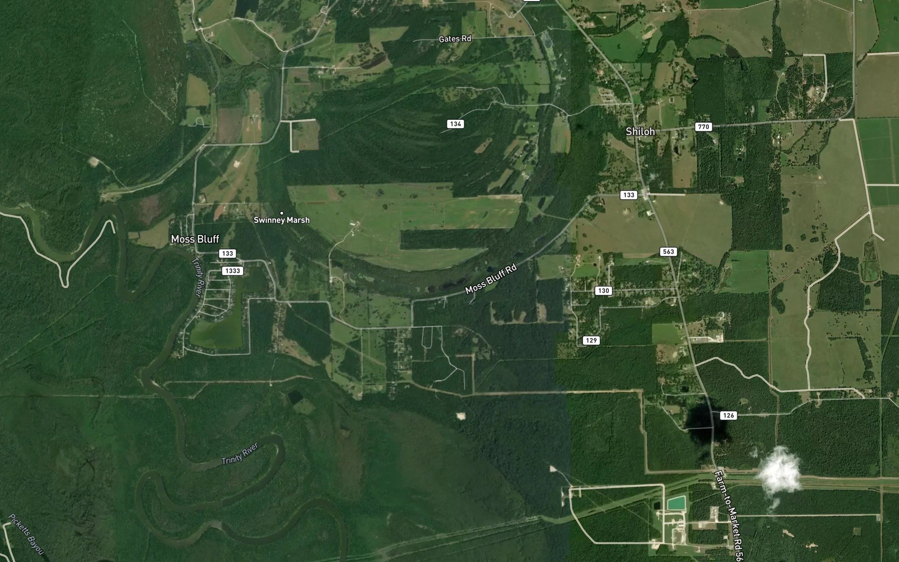 Satellite map of the Swinney Marsh
