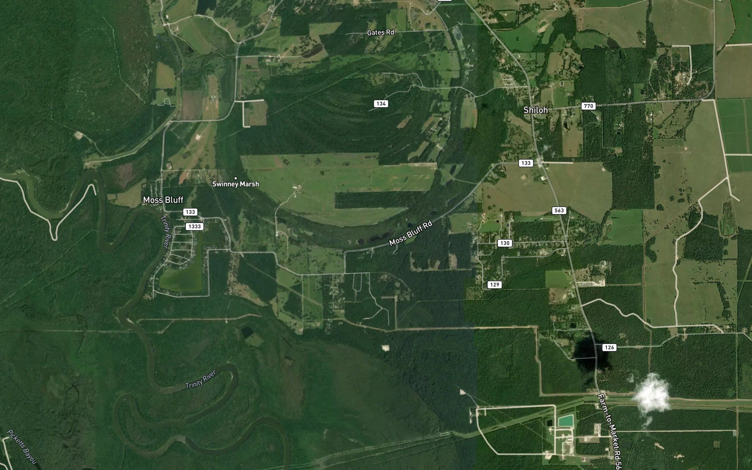 Swinney Marsh