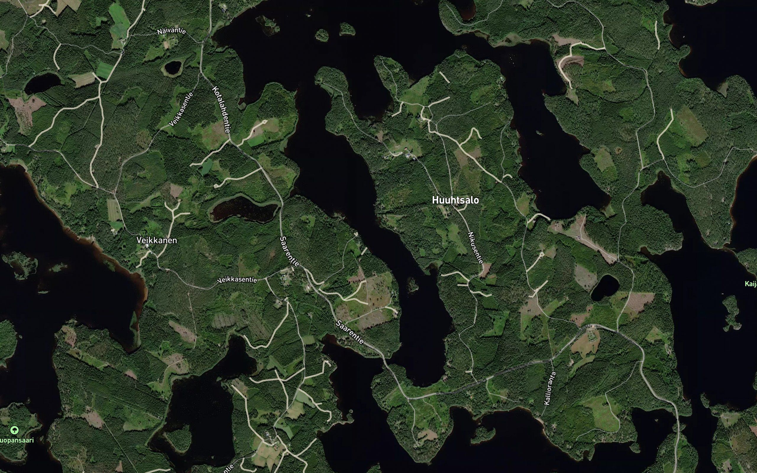 Nyrhinkapia