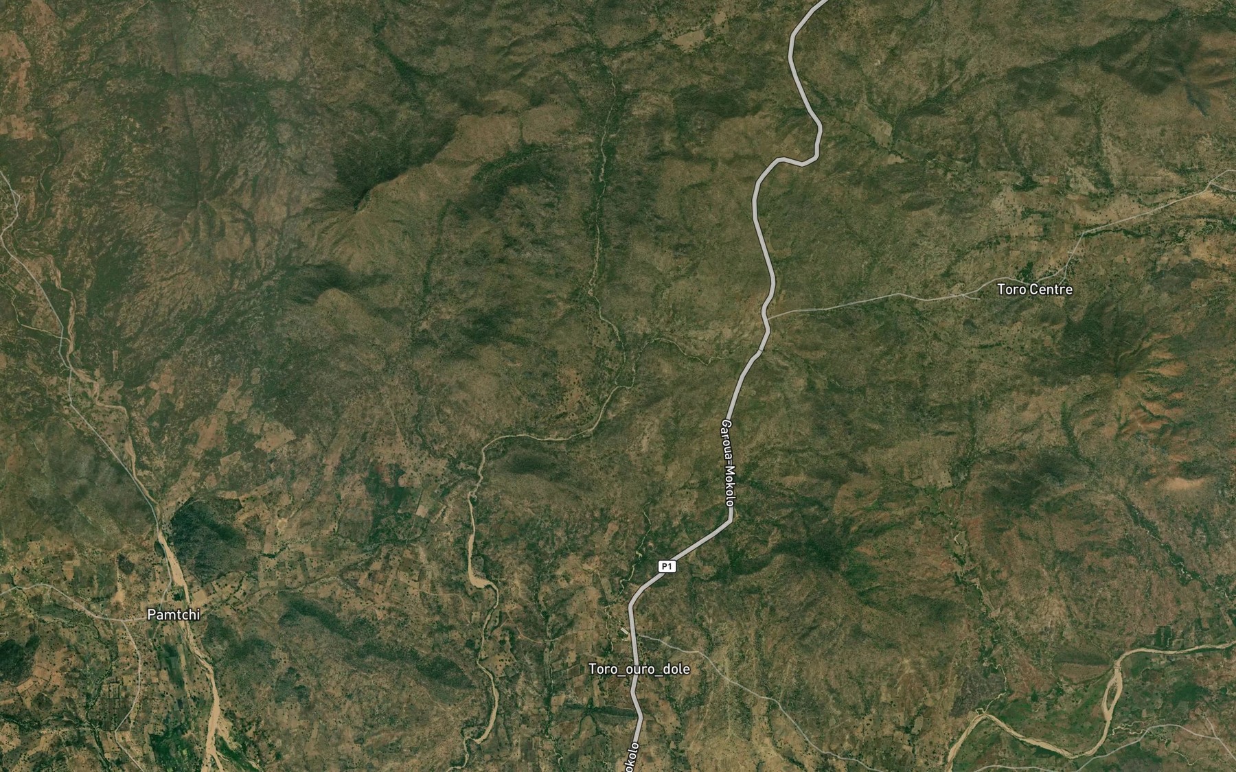 Satellite map of the Mayo Goma