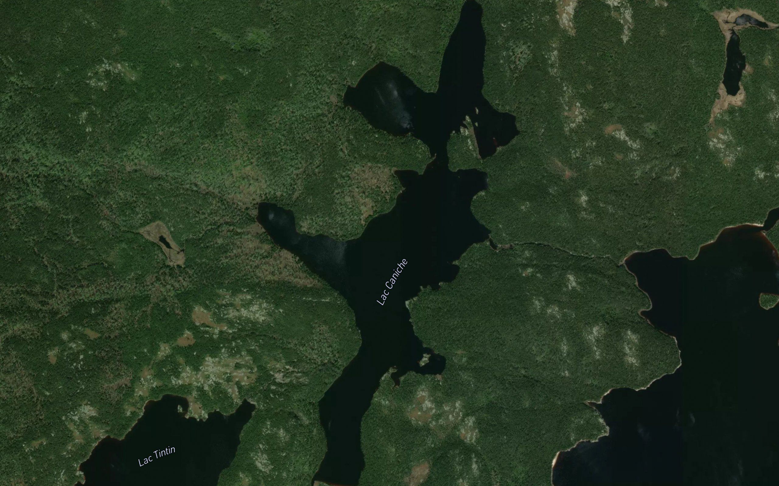 Lac Caniche
