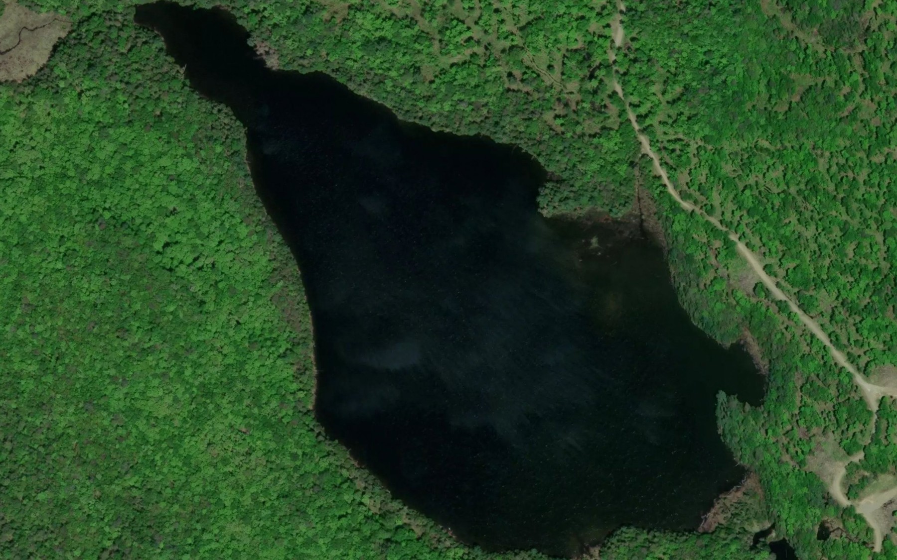 Satellite map of the Alexander Lake