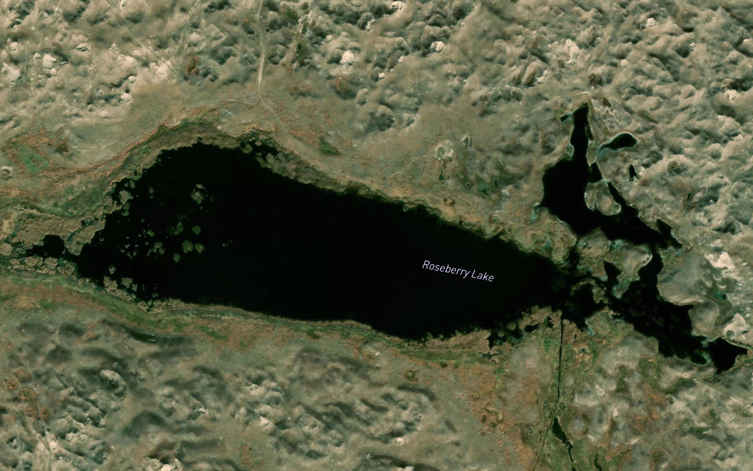 Roseberry Lake