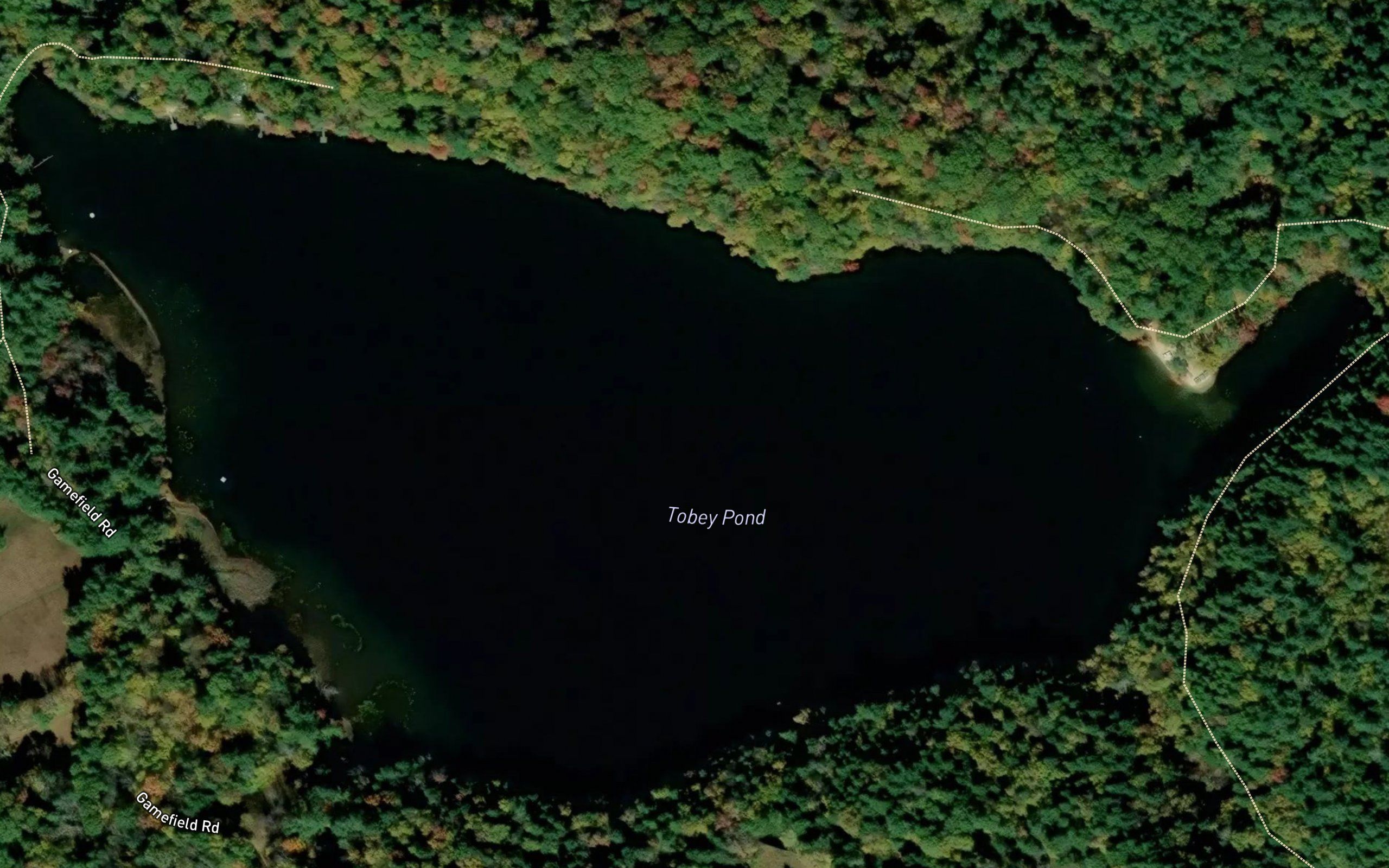Tobey Pond