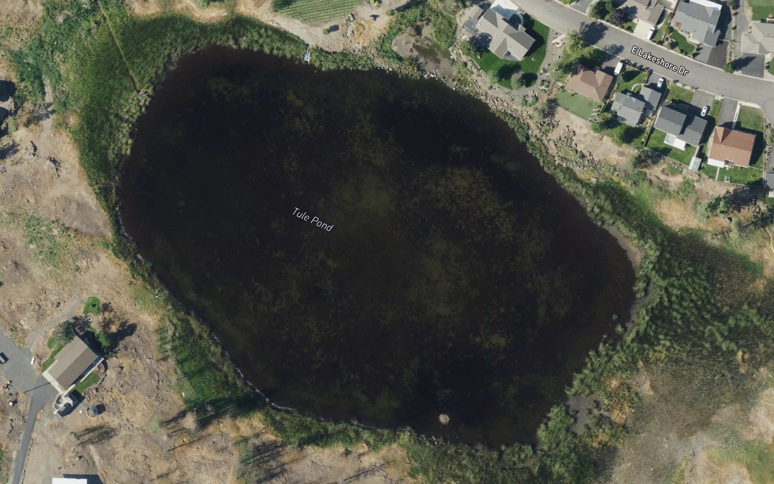 Tule Pond