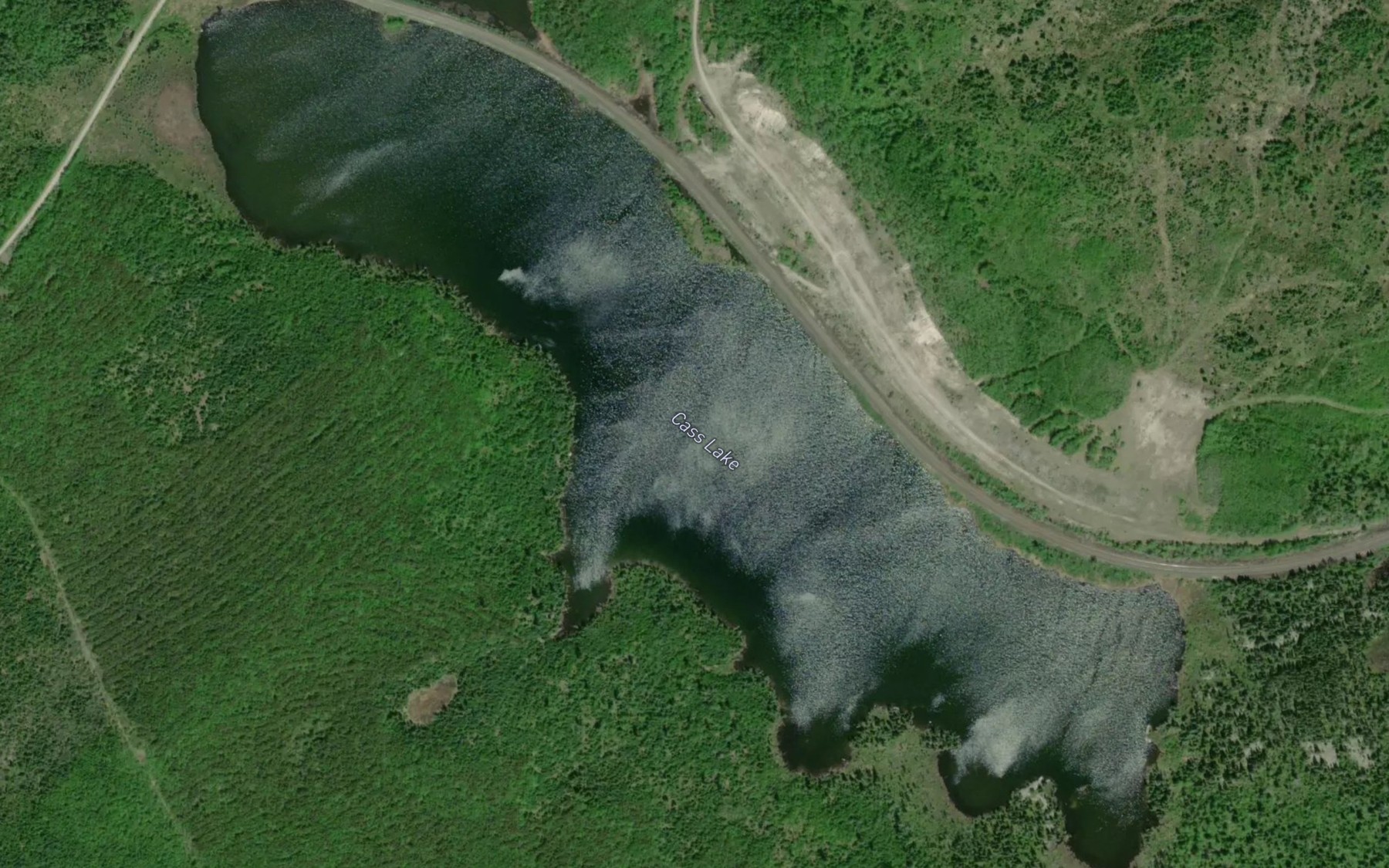 Satellite map of the Cass Lake