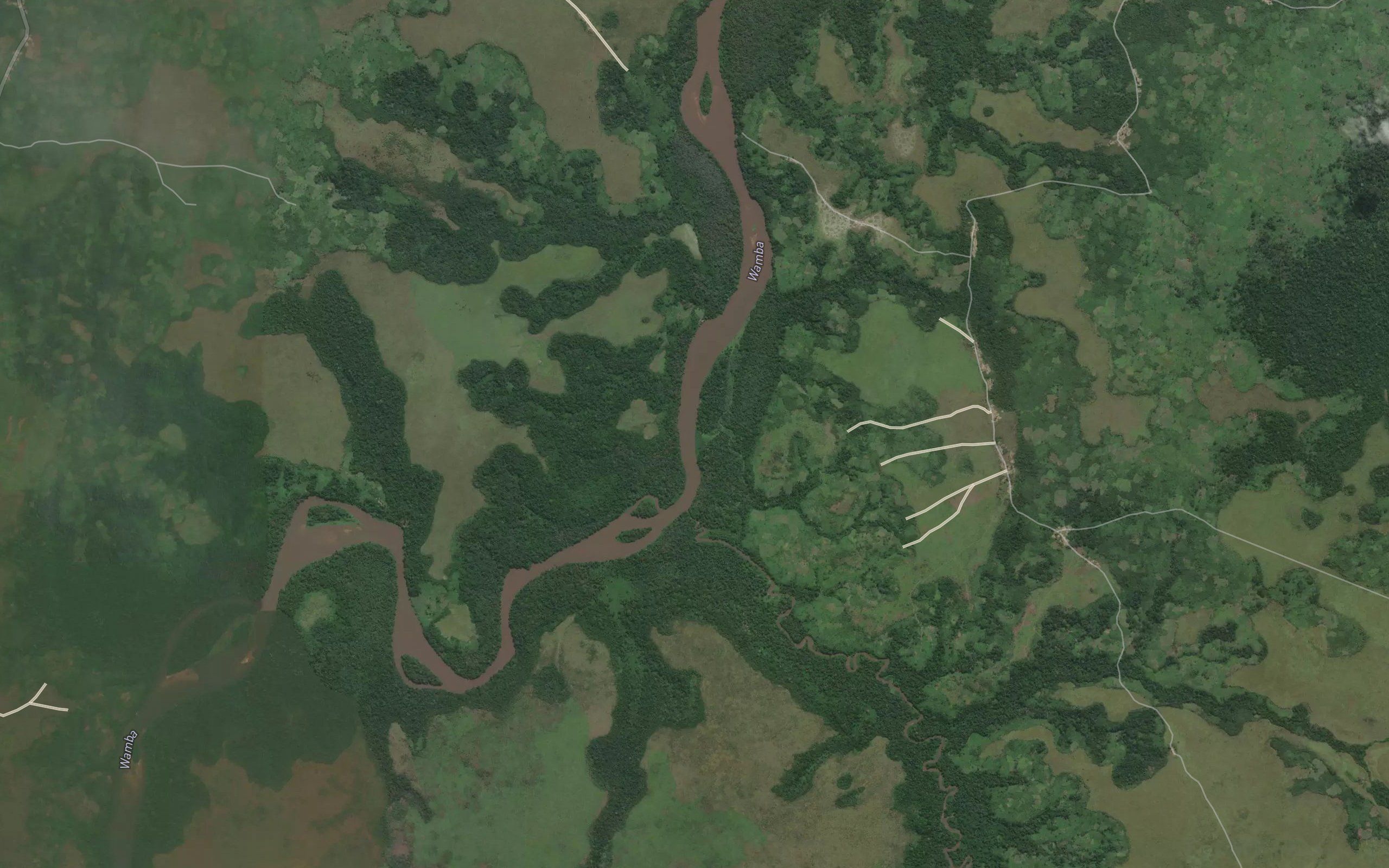 Konzi