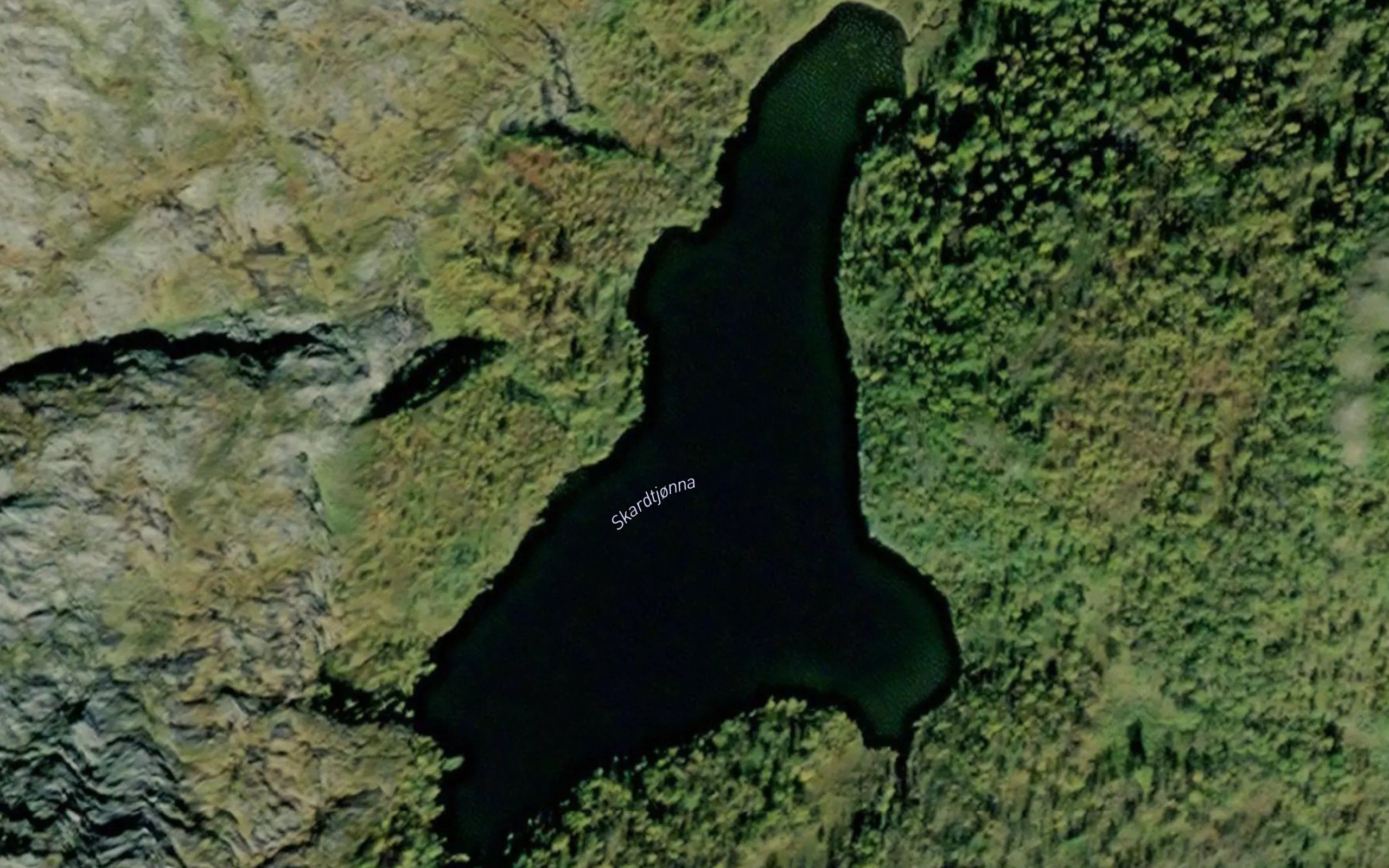 Skardtjorna