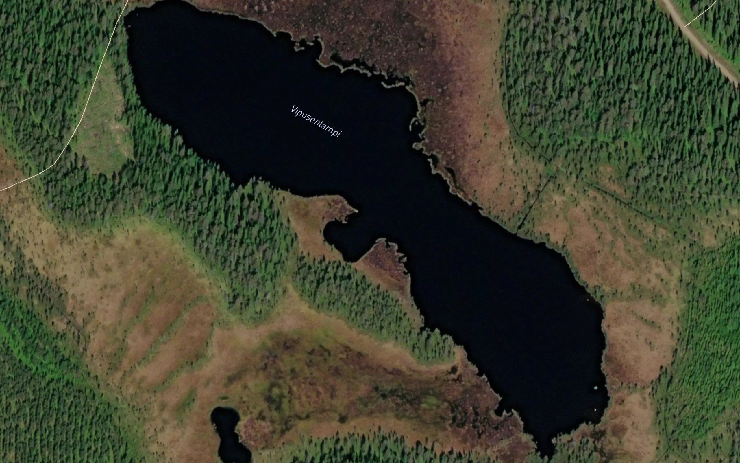 Vipusenlampi