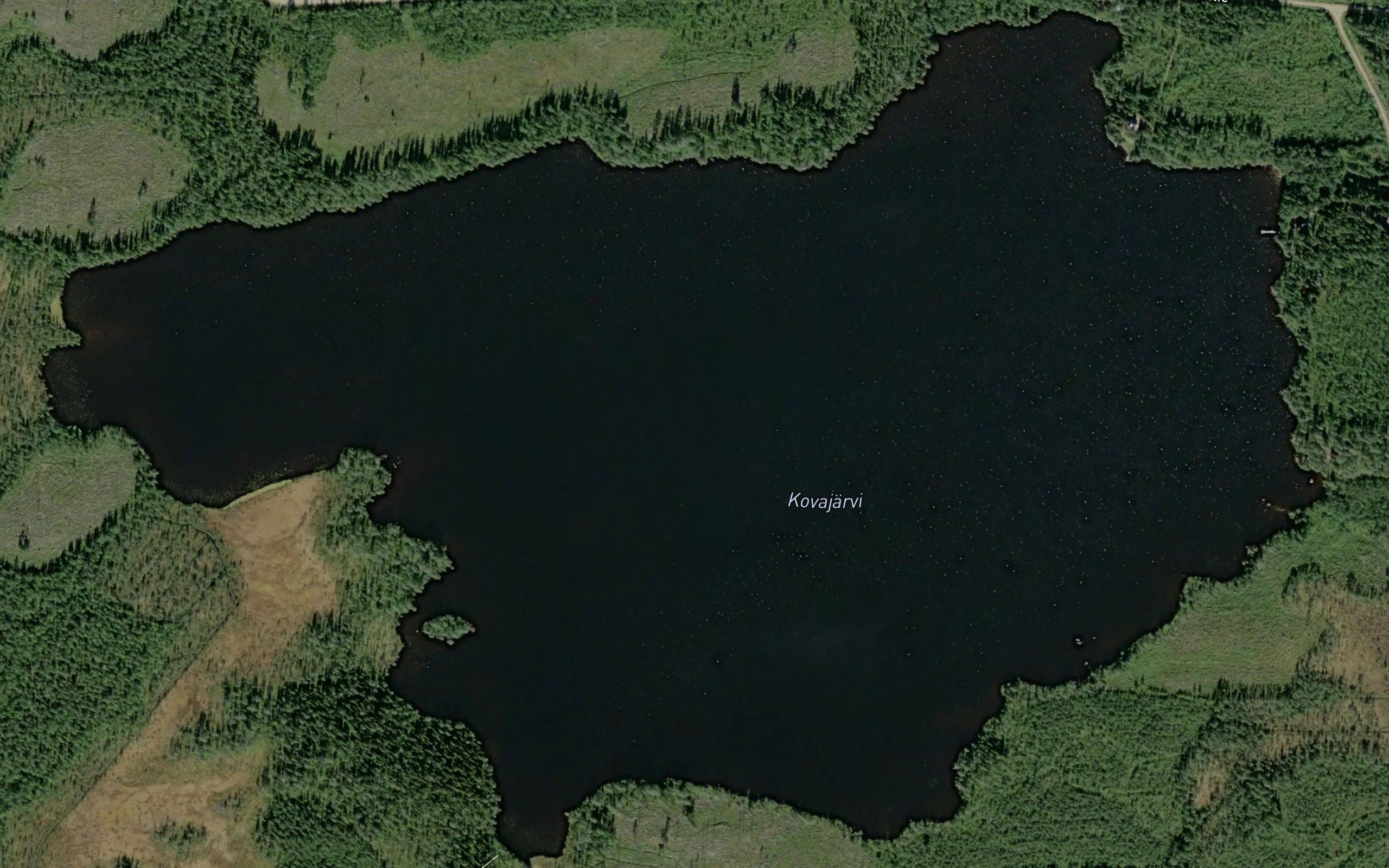 Kovajaervi