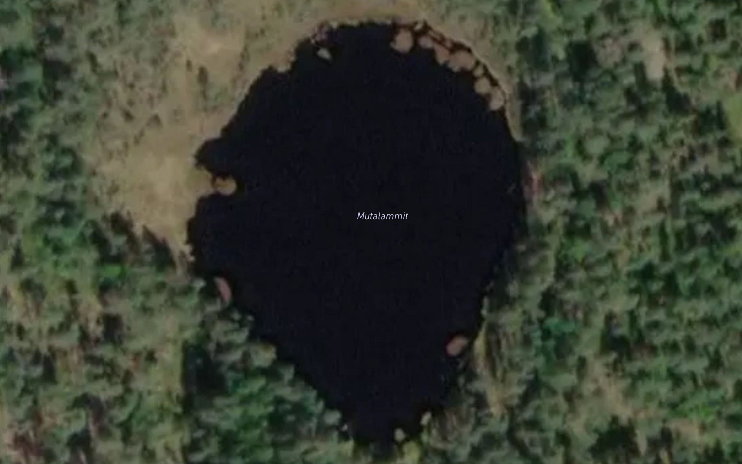 Mutalammit