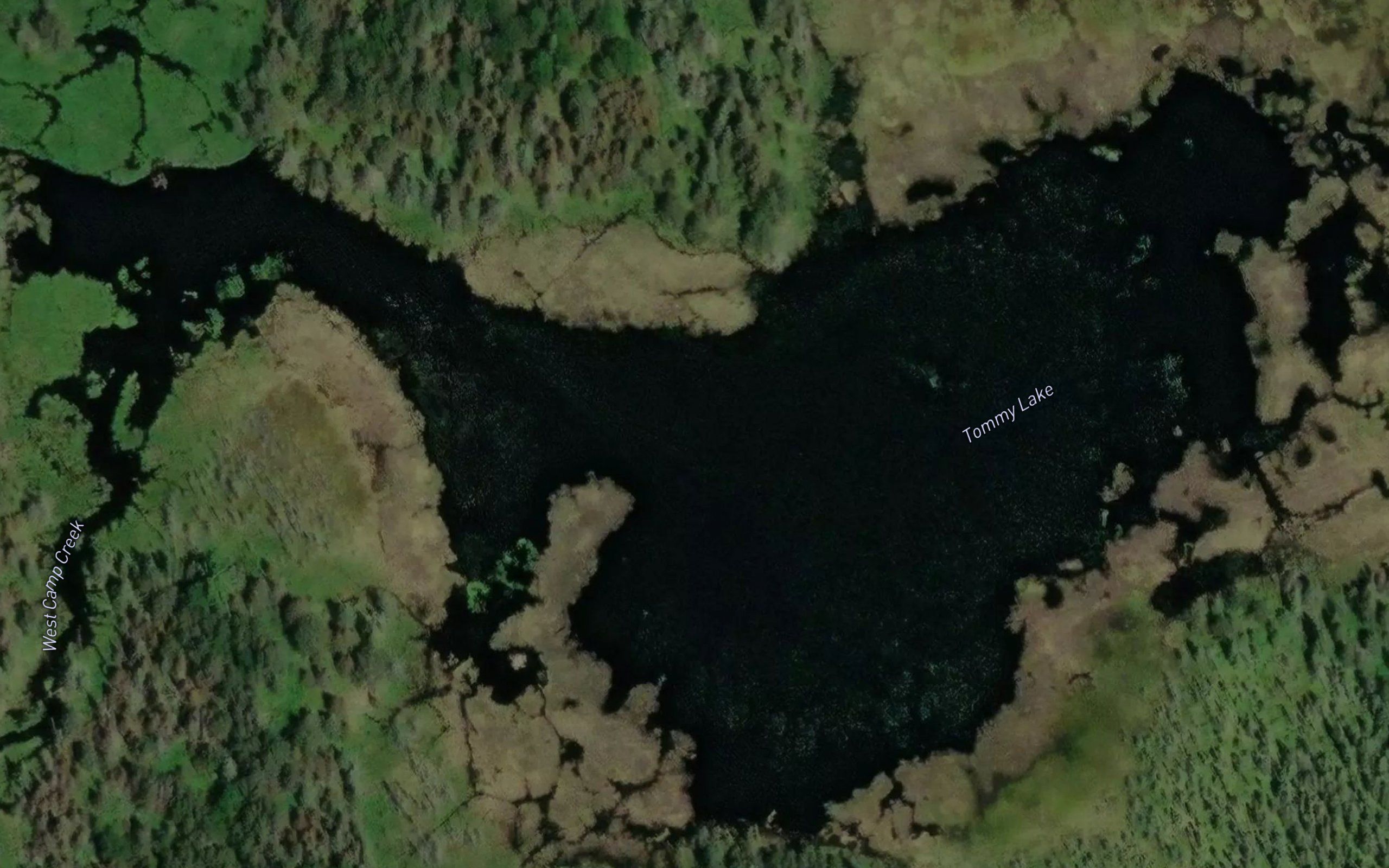 Tommy Lake