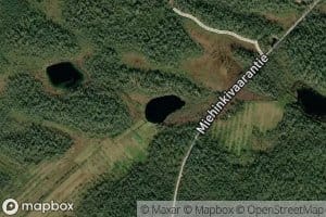 Kirnulammit