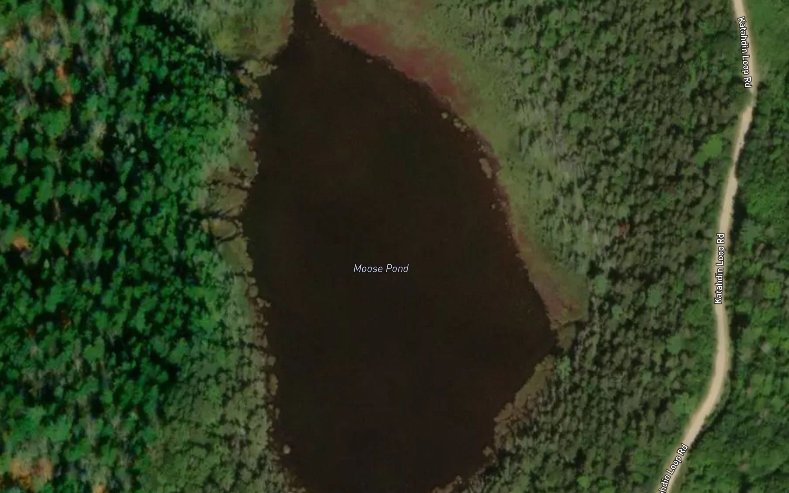 Moose Pond