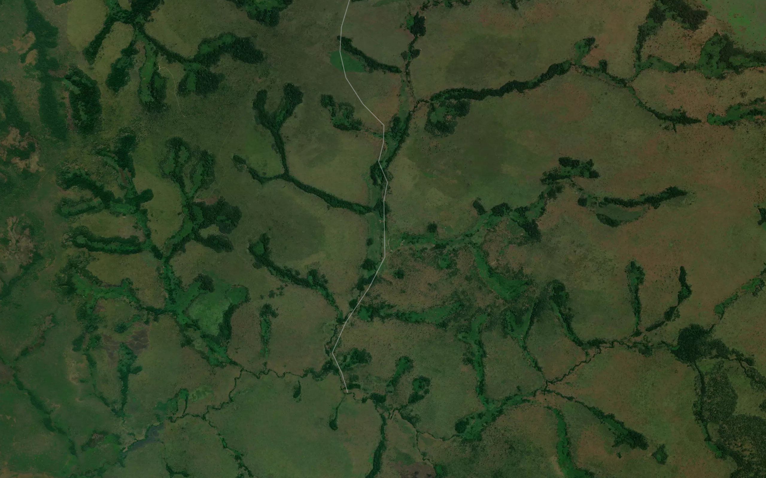Kamivula