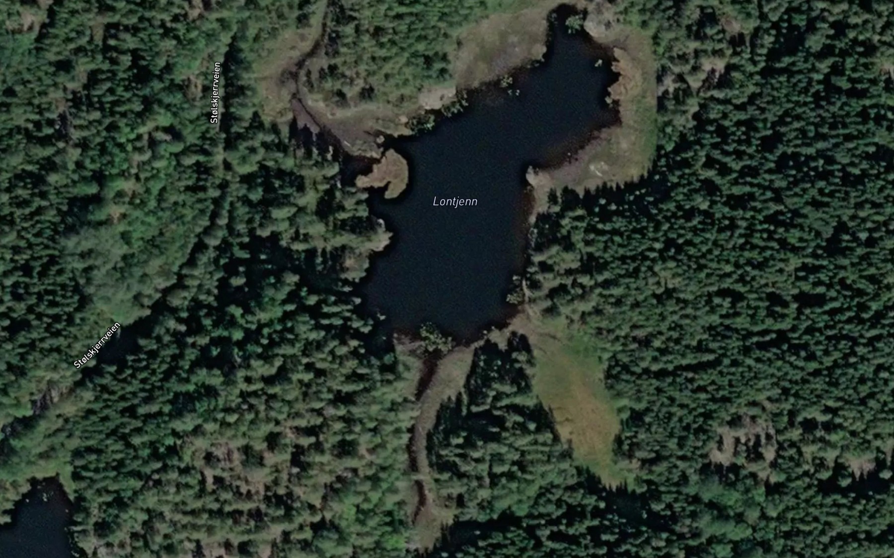 Satellite map of the Lontjenn