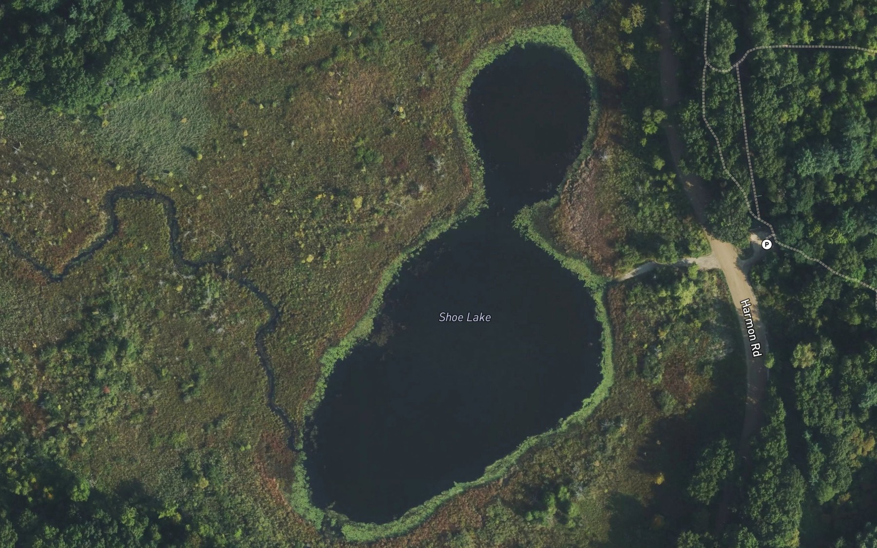 Satellite map of the Shoe Lake