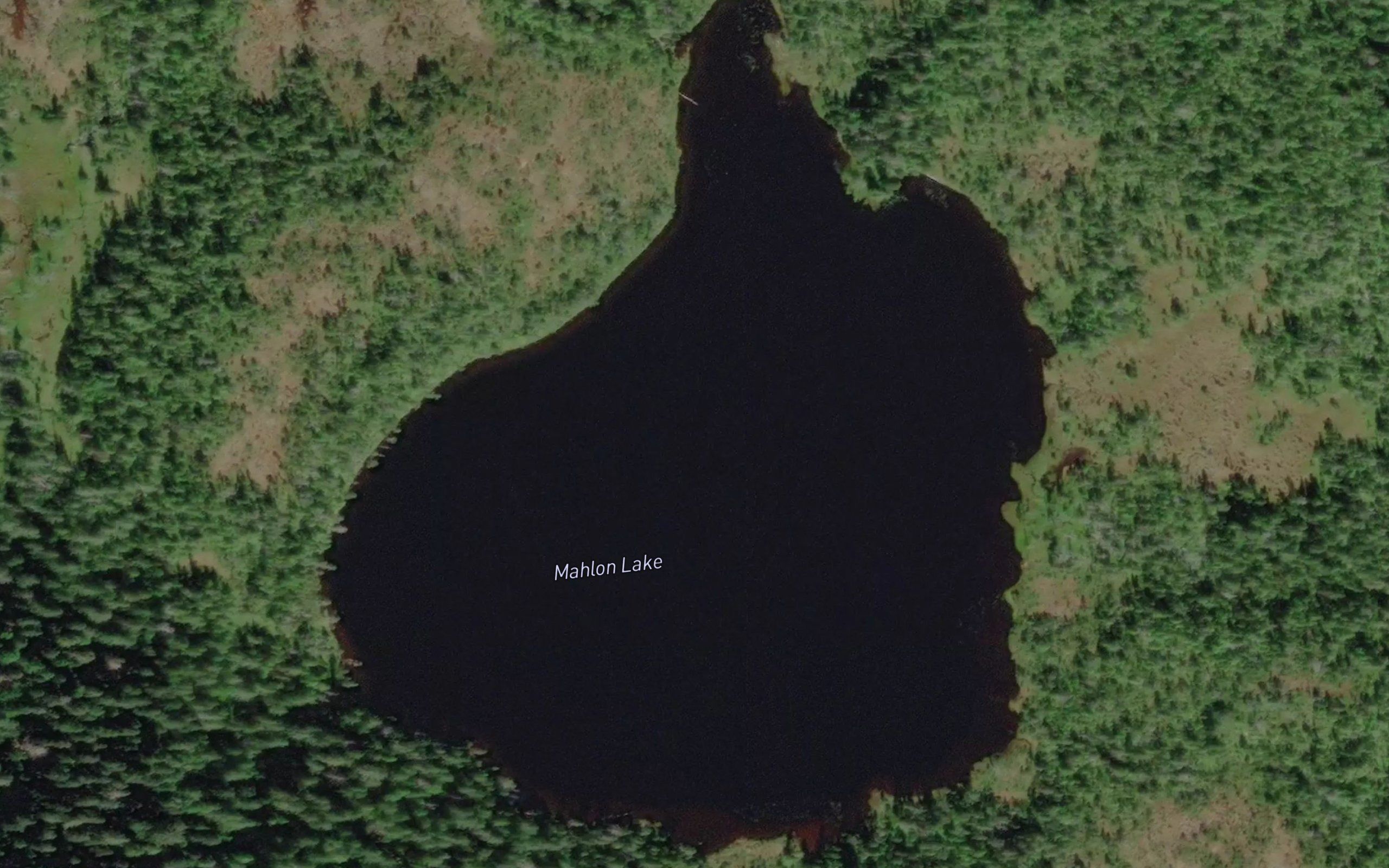 Mahlon Lake