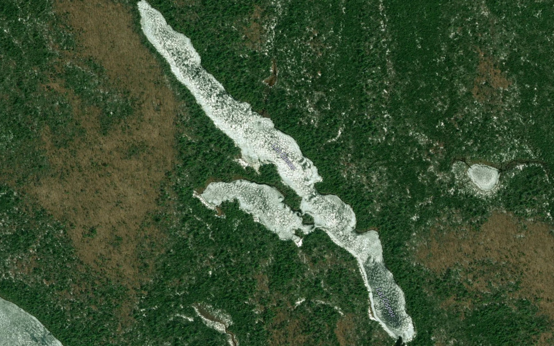 Satellite map of the Lac Ciseau