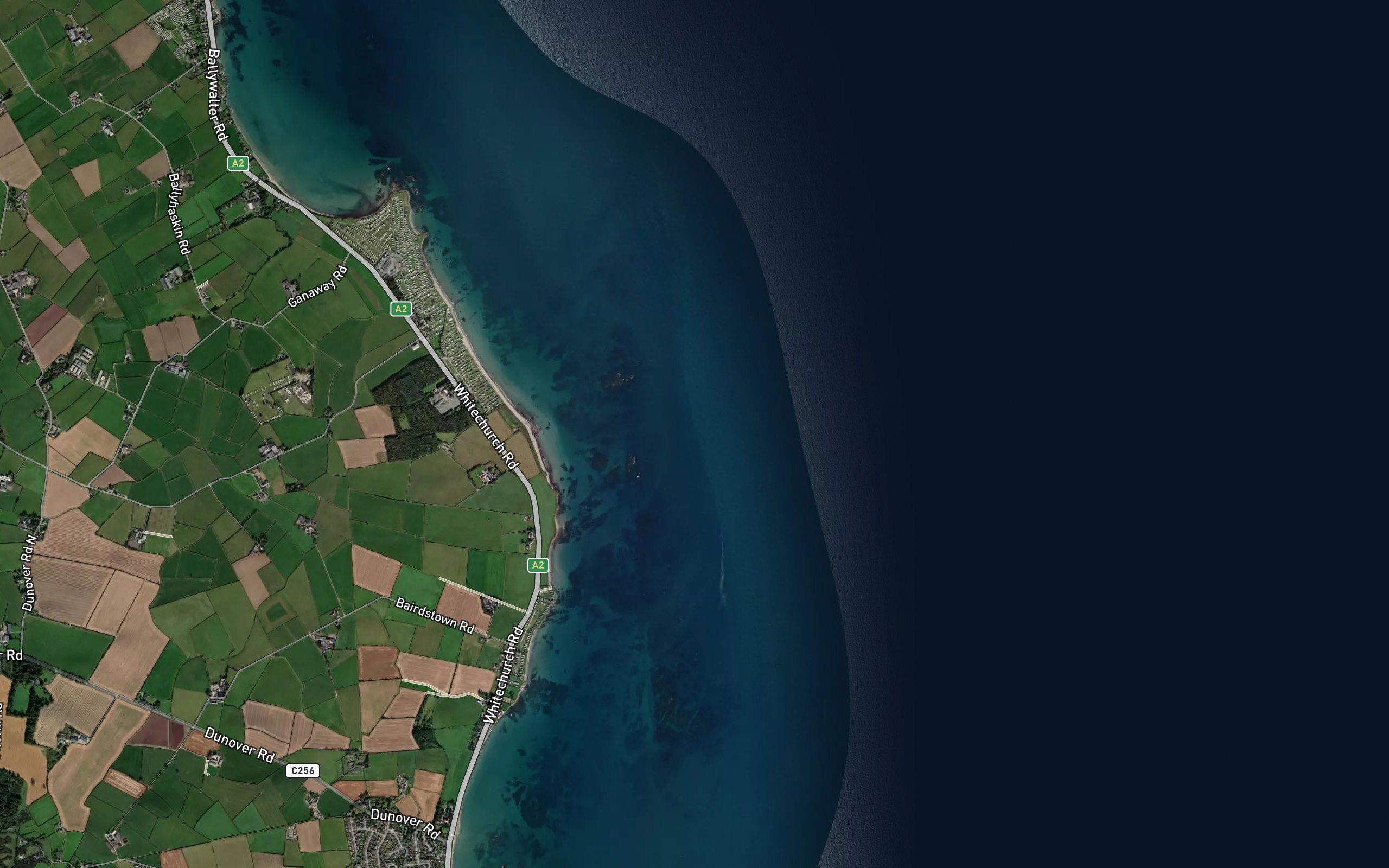 The Reef