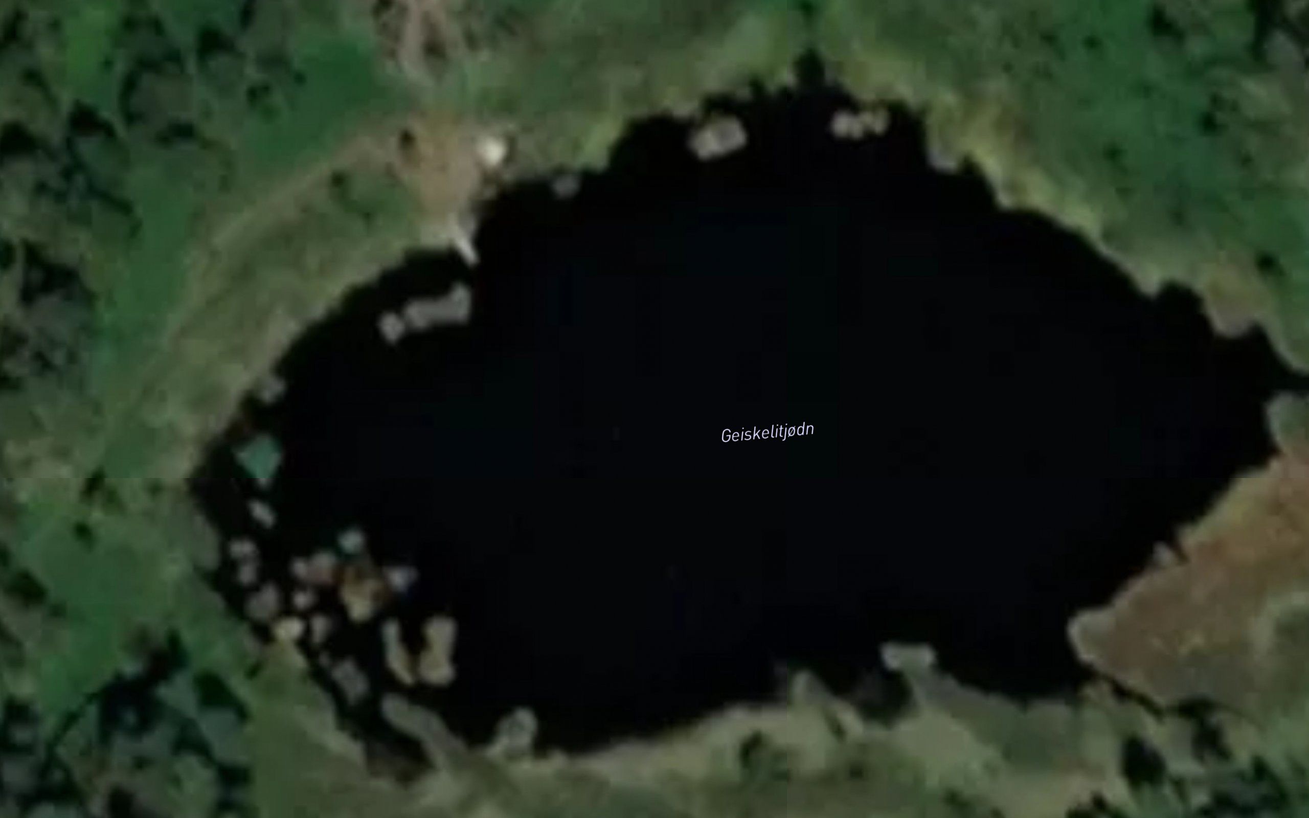 Burtjorn