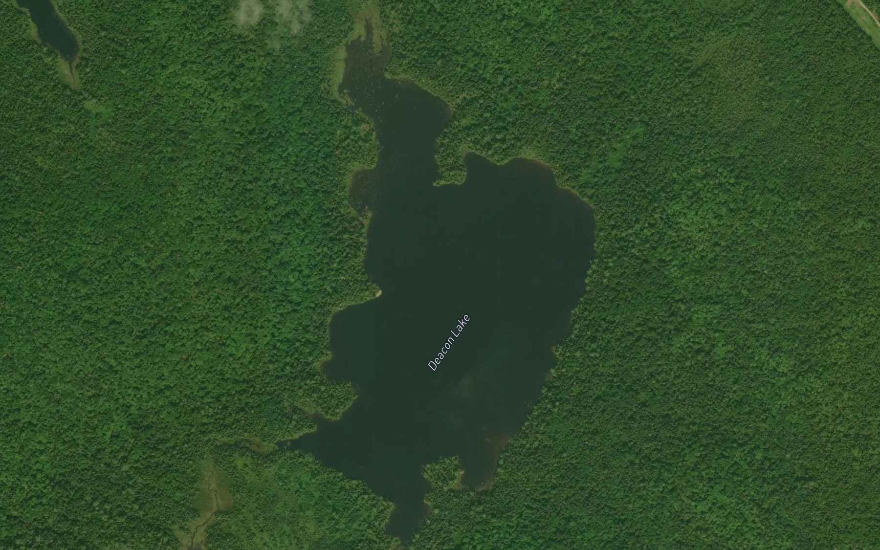 Satellite map of the Deacon Lake